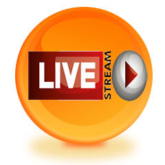 24 Hour Live Streaming Position Waltham Abbey