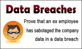 Prove A Data Breach By An Ex Employee in Waltham Abbey