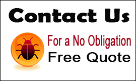 Contact Us For Bug Sweeping Services in Waltham Abbey