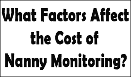 Factors Affecting The Cost Of Nanny Monitoring in Waltham Abbey