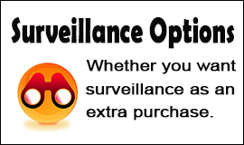 Is Surveillance Needed in Waltham Abbey