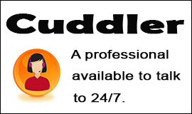 Surveillance Cuddler in Waltham Abbey